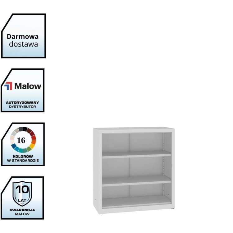 Niski regał zamknięty RZ stosowany jako regał podręczny do dokumentów i segregatorów w biurze.